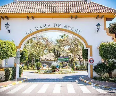 Lovely In Dama De Noche